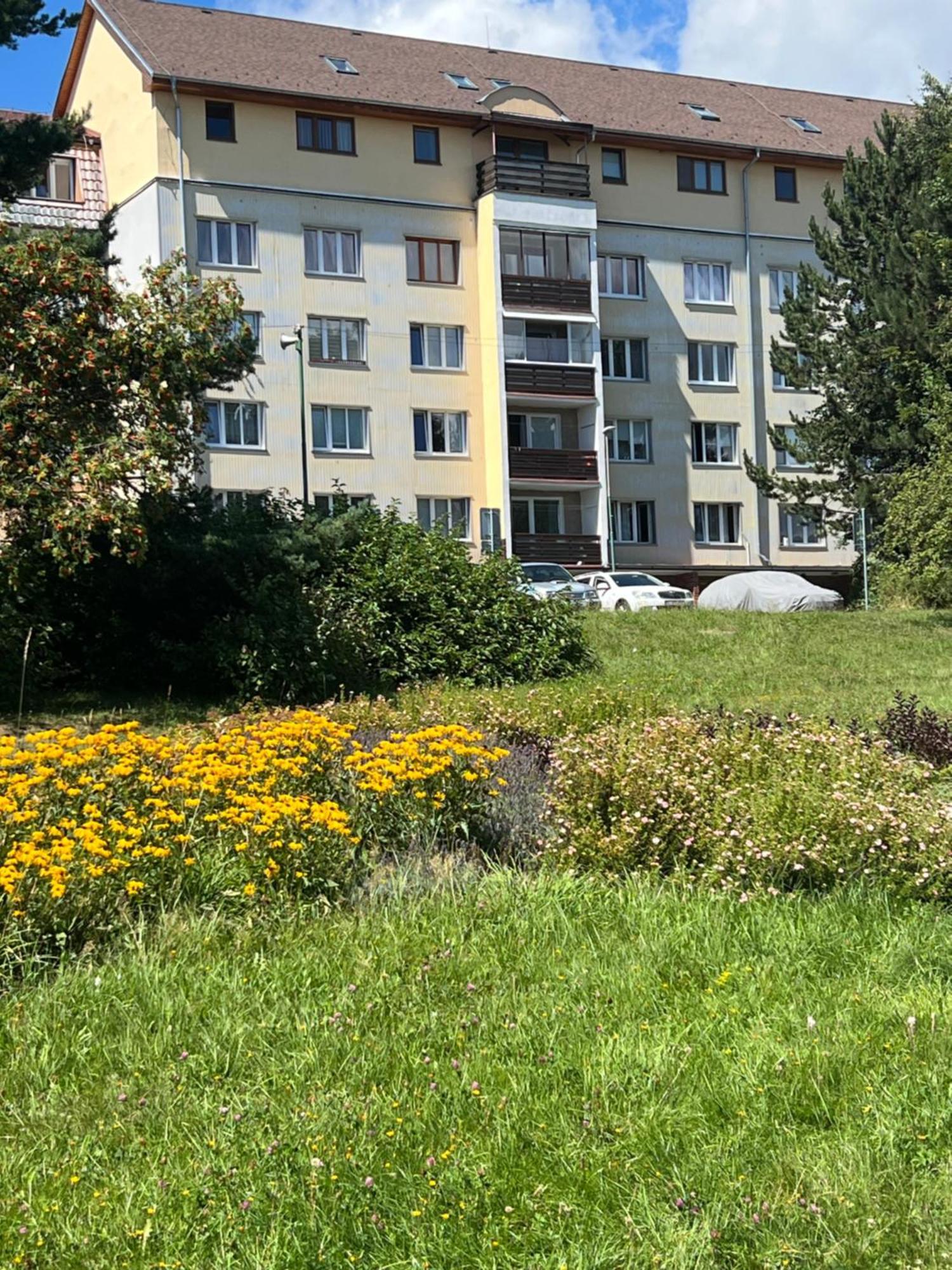 Apartment Tatranska Strba Exterior photo